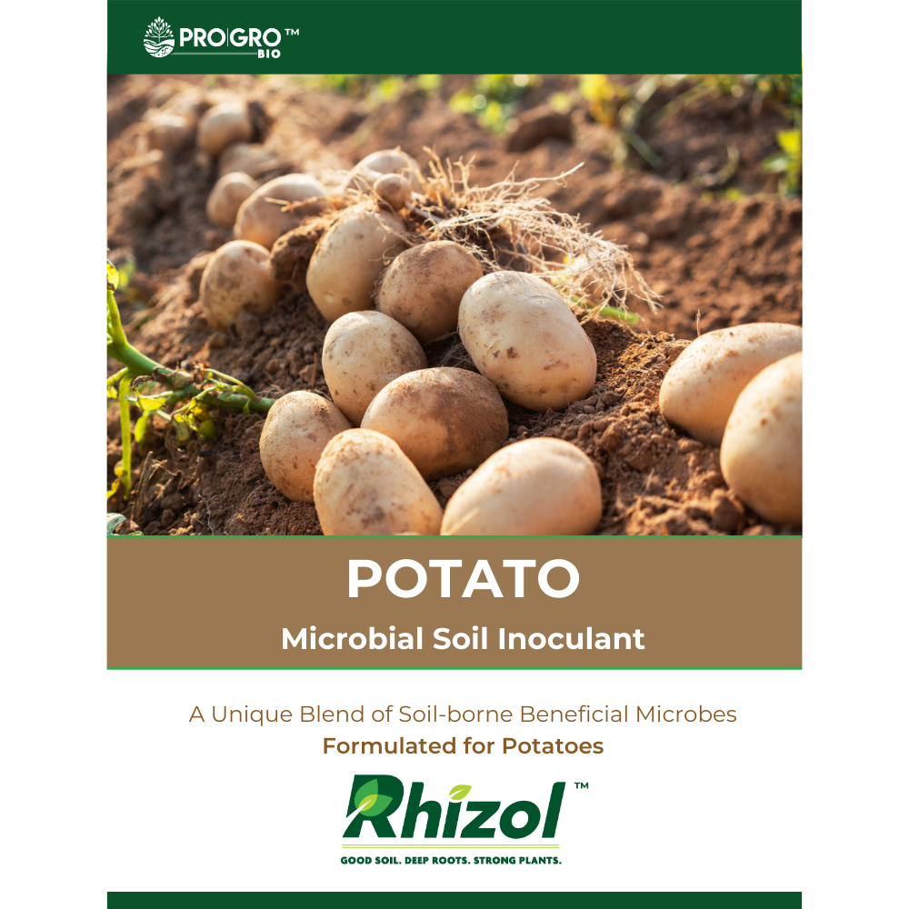 Rhizol Potato - Dissolvable Microbial Soil Inoculant