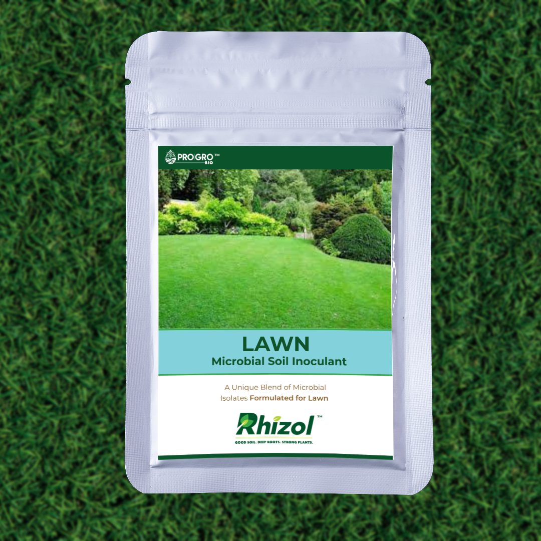 Lawn Rhizopro