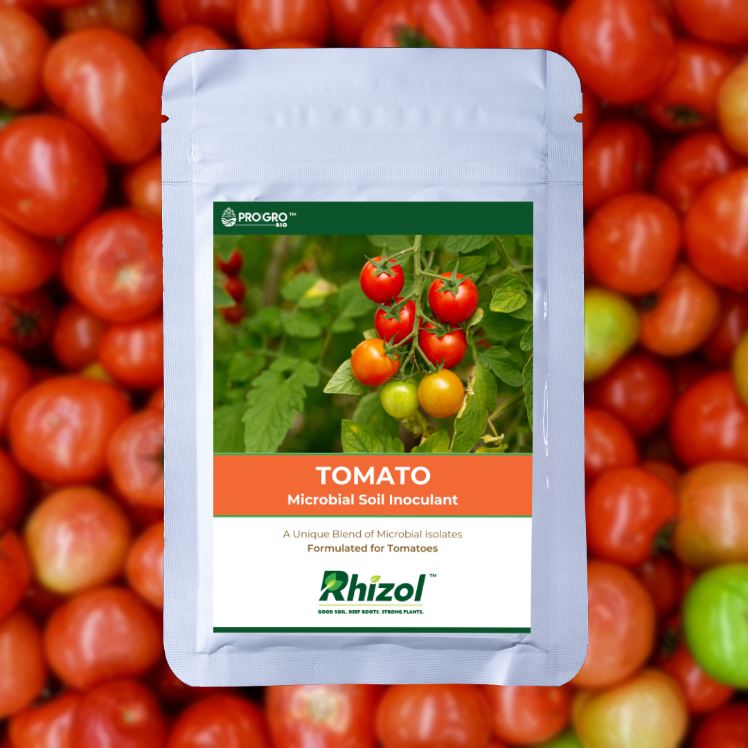Rhizol Tomato - Dissolvable Microbial Soil Inoculant