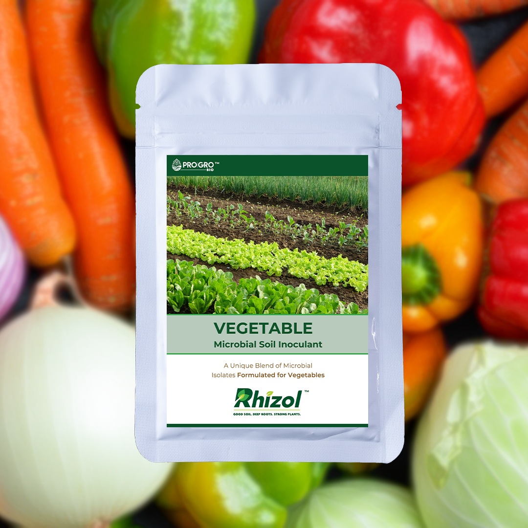 Rhizol Vegetable - Dissolvable Microbial Soil Inoculent