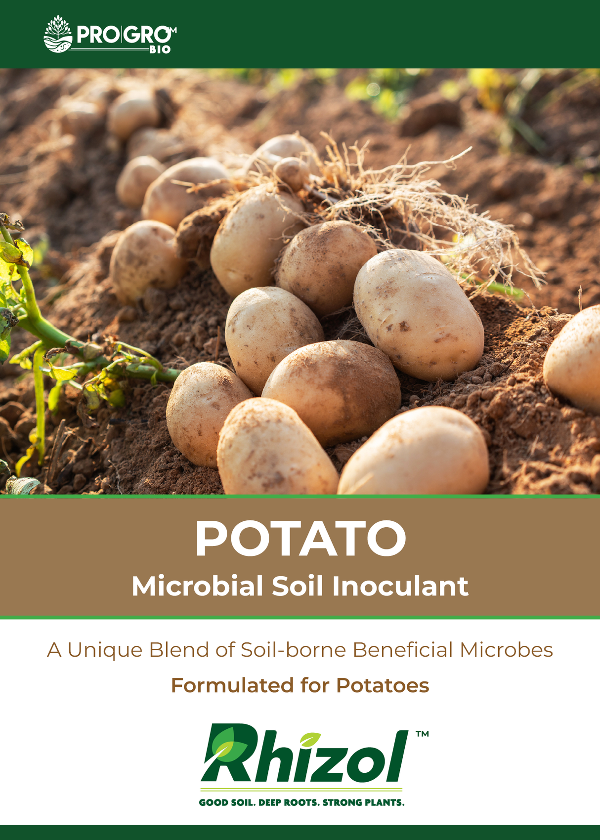 Rhizol Potato - Dissolvable Microbial Soil Inoculant