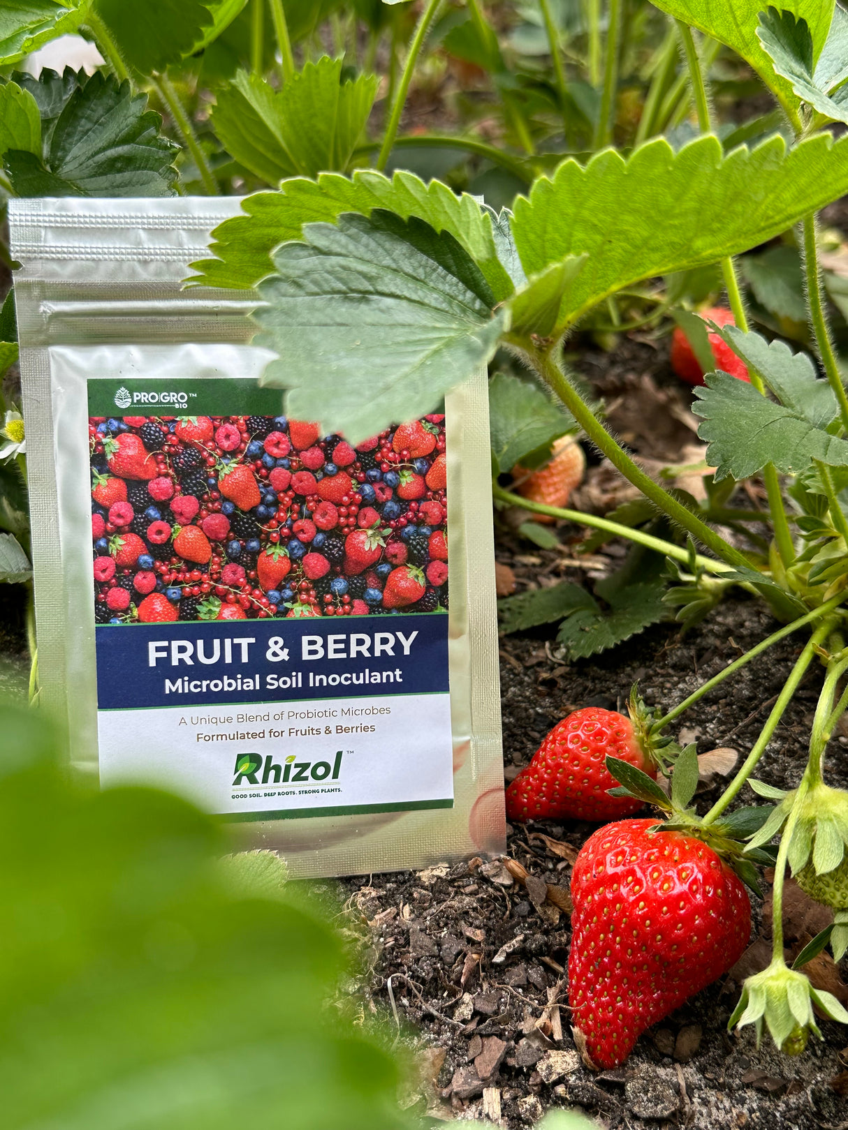 Rhizol Fruit & Berry - Dissolvable Microbial Soil Inoculent