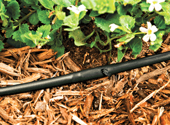 DIG - 1/4'' Microline Dripline w/ 12'' Spacing x 500' (Black) .52 GPH - ML-512