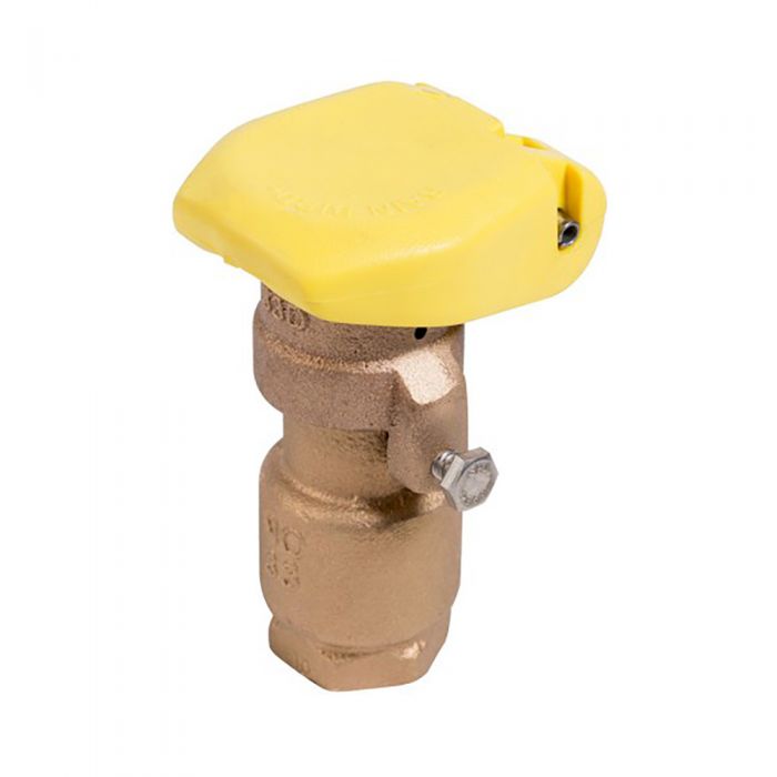 Rain Bird - 33DRC - 3/4'' Quick Coupling Valve w/ 2-Piece Body