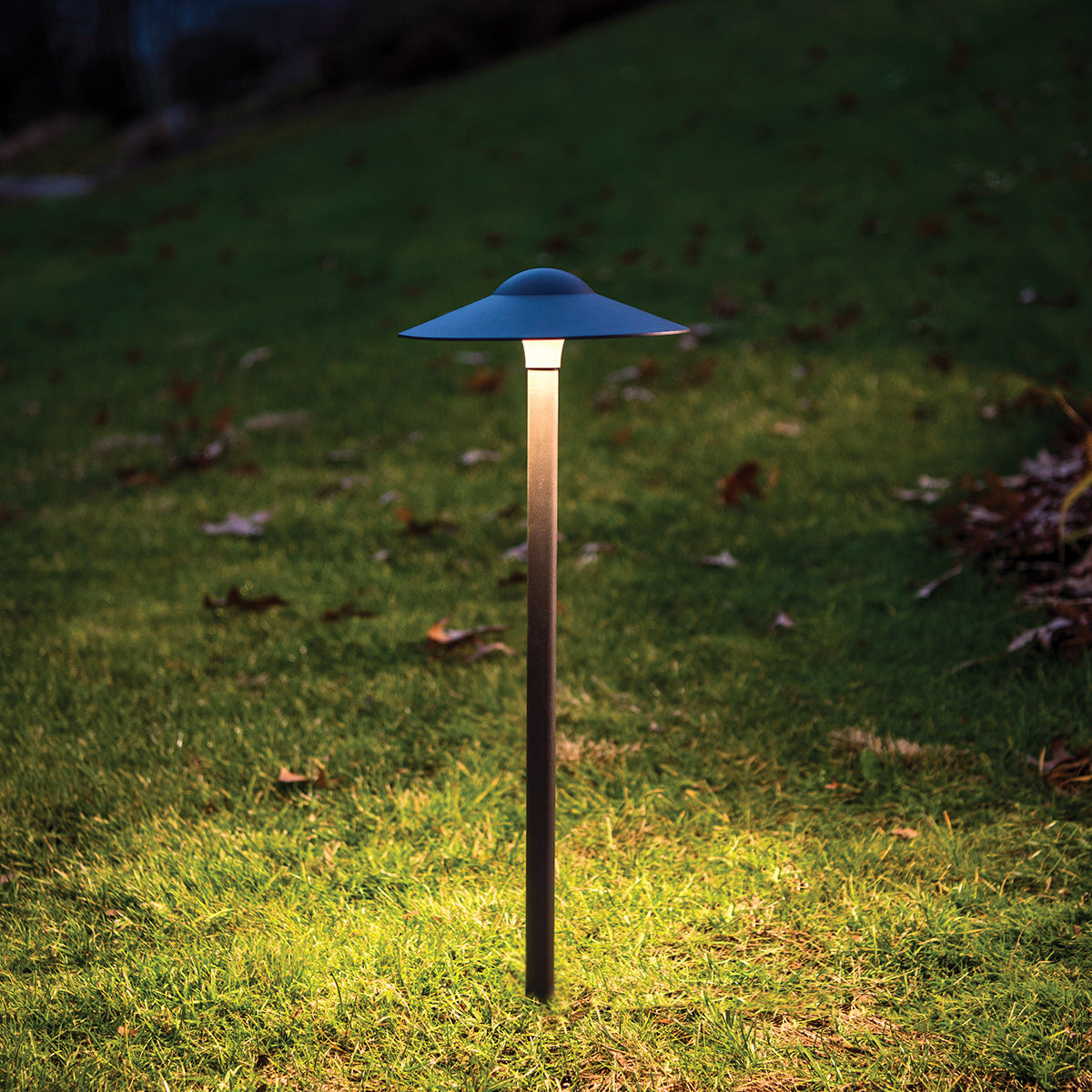 WAC Lighting - 6'' CANOPY Path Light 12V LED (Bronze) - 6053-27BZ