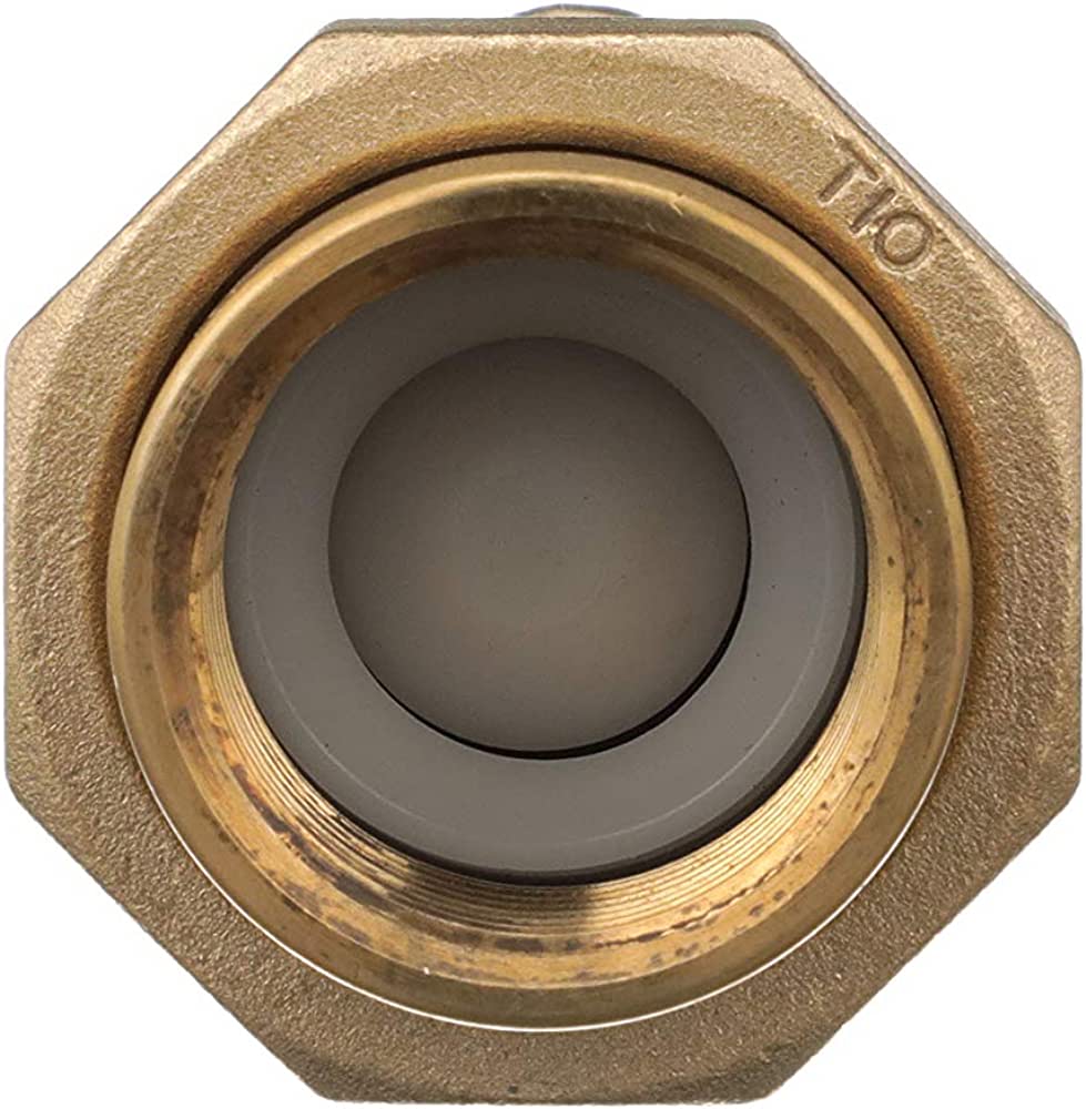 Zurn - 1UFX1F-700XL - 1'' Dual Check Valve Backflow Preventer (UNF x FPT)