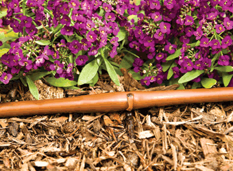 DIG - 1/4'' Microline Dripline w/ 6'' Spacing x 100' (Brown) .52 GPH - ML-106B