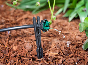 DIG - 1 GPH Button Drip Emitter - 06-020