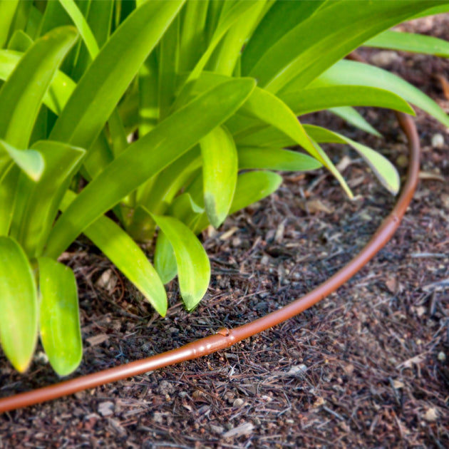DIG - 1/4'' Microline Dripline w/ 9'' Spacing x 100' (Brown) .52 GPH - ML-109B
