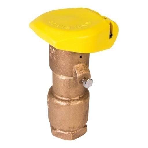 Rain Bird - 44RC - 1 in. Quick Coupling Valve with 2-Piece Body