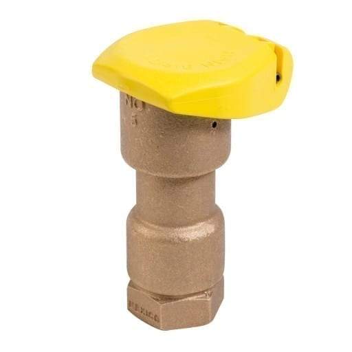 Rain Bird - 5RC - 1 in. Quick Coupling Valve