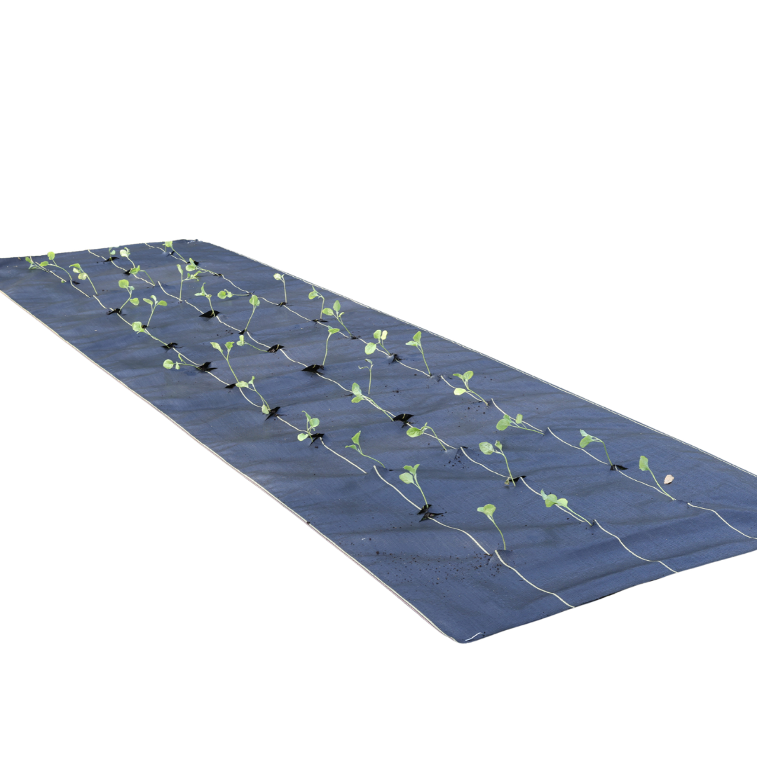 Drip Irrigation With Landscape Fabric: How to Do It Right