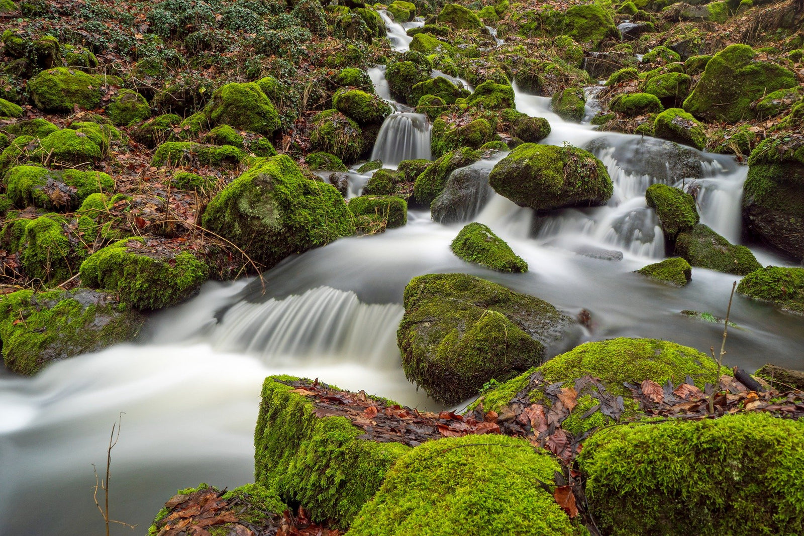 Essential Protection: Understanding Dual Checks in Garden Irrigation