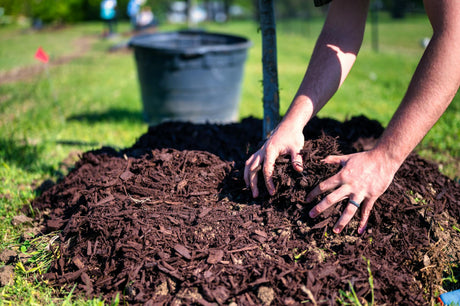 Mulching and Irrigation: How Mulch Can Help Conserve Water in Your Lawn and Garden