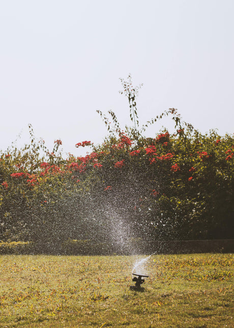 Converting an Old Sprinkler System to Drip Irrigation