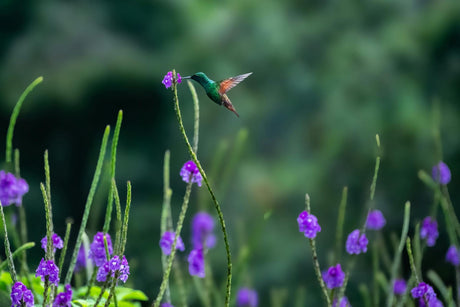 Spring Prep: Get Your Garden (and Irrigation) in Shape for the Growing Season