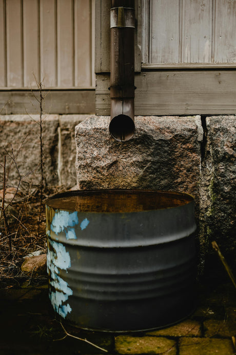Water Smarter, Not Harder: Xeriscaping and Efficient Irrigation for Georgia Yards