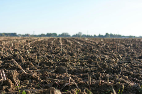 Boost Your Lawn and Garden’s Health: A Step-by-Step Guide to Using Soil Inoculant