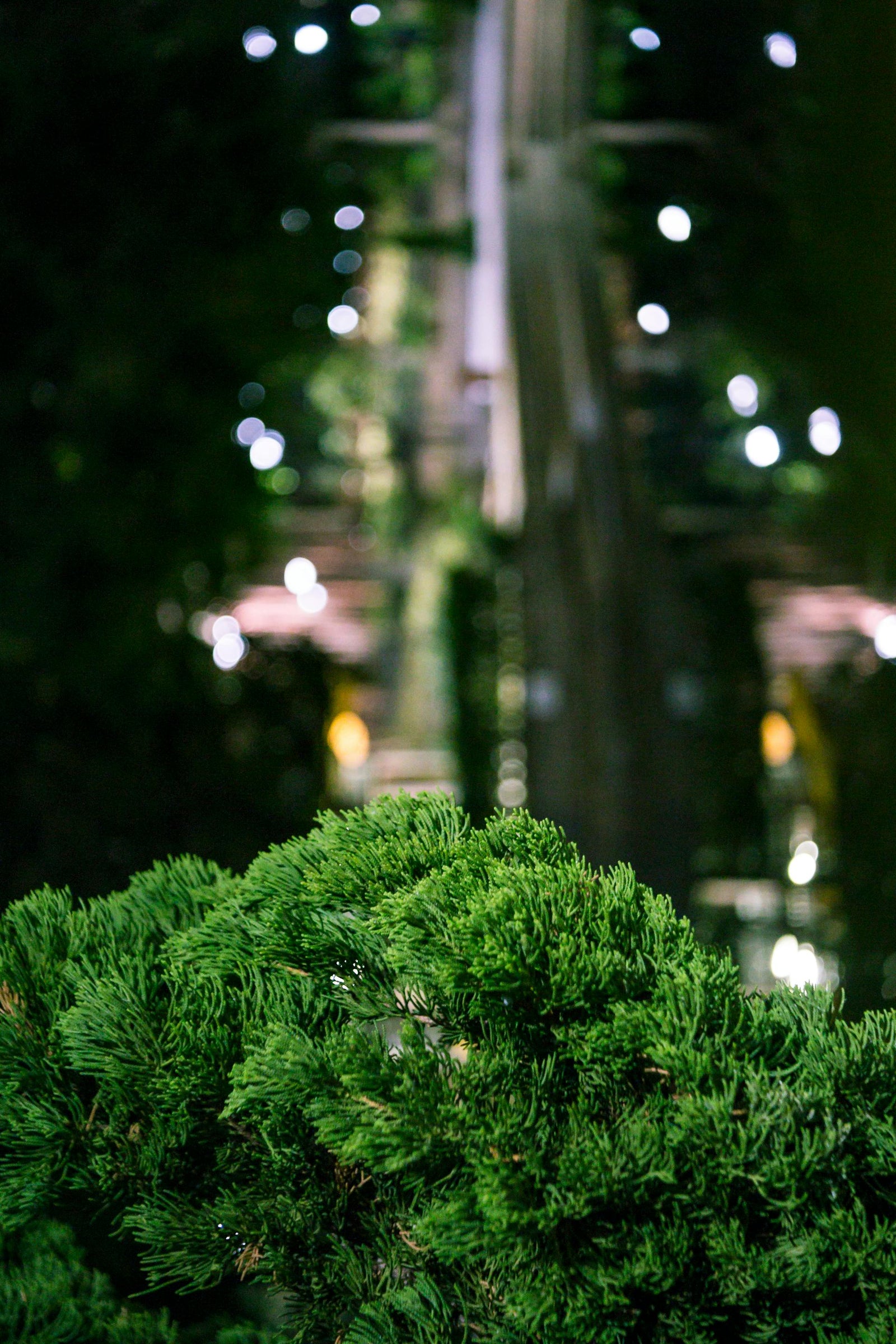 Light Up Your Landscape: Why Now’s the Perfect Time to Upgrade Your Outdoor Lighting