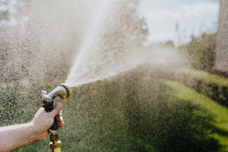 Drip Lines vs. Sprinkler Heads: What Works Best for August Gardens?