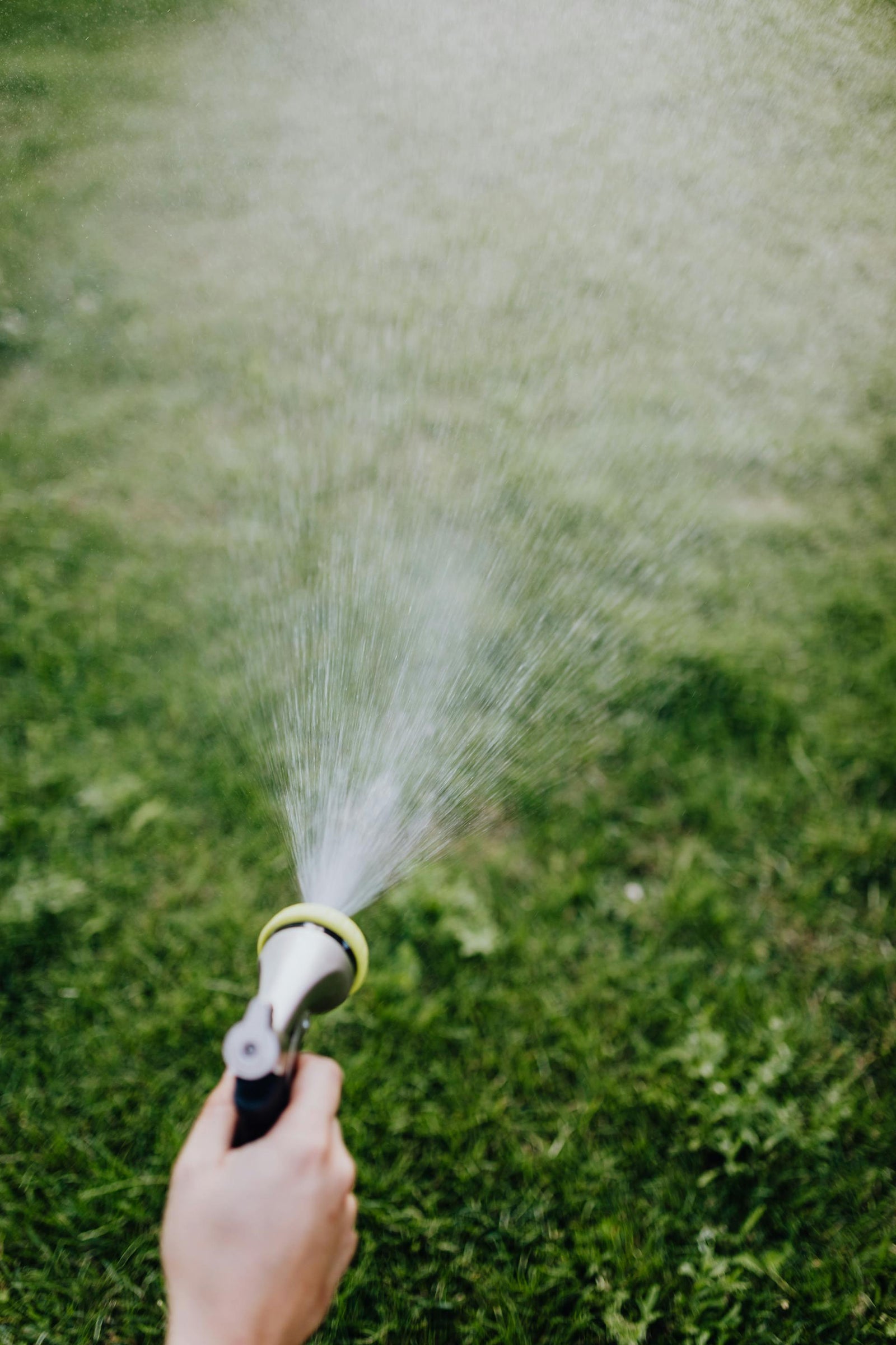 Determining the Ideal Watering Duration for Your Lawn and Garden