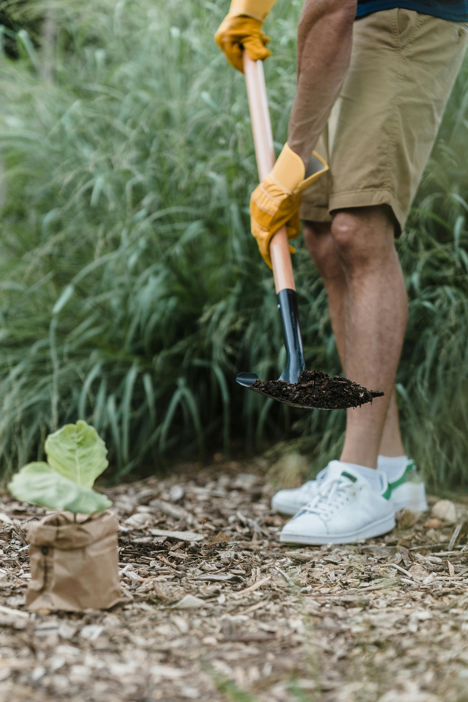 DIY Garden Upgrades: Essential Tools for Fall Projects