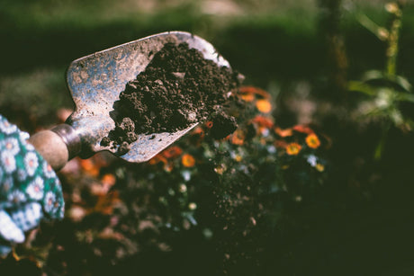 Beneath the Surface: Uncovering the Secrets of Soil Health and Irrigation