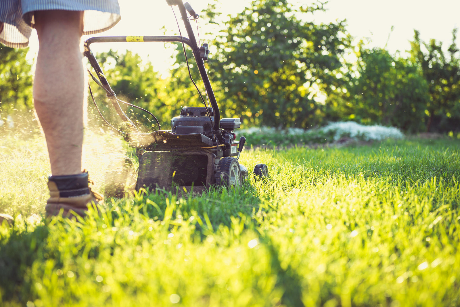 Father's Day Gifts: Practical Ideas for Yard Work and Irrigation