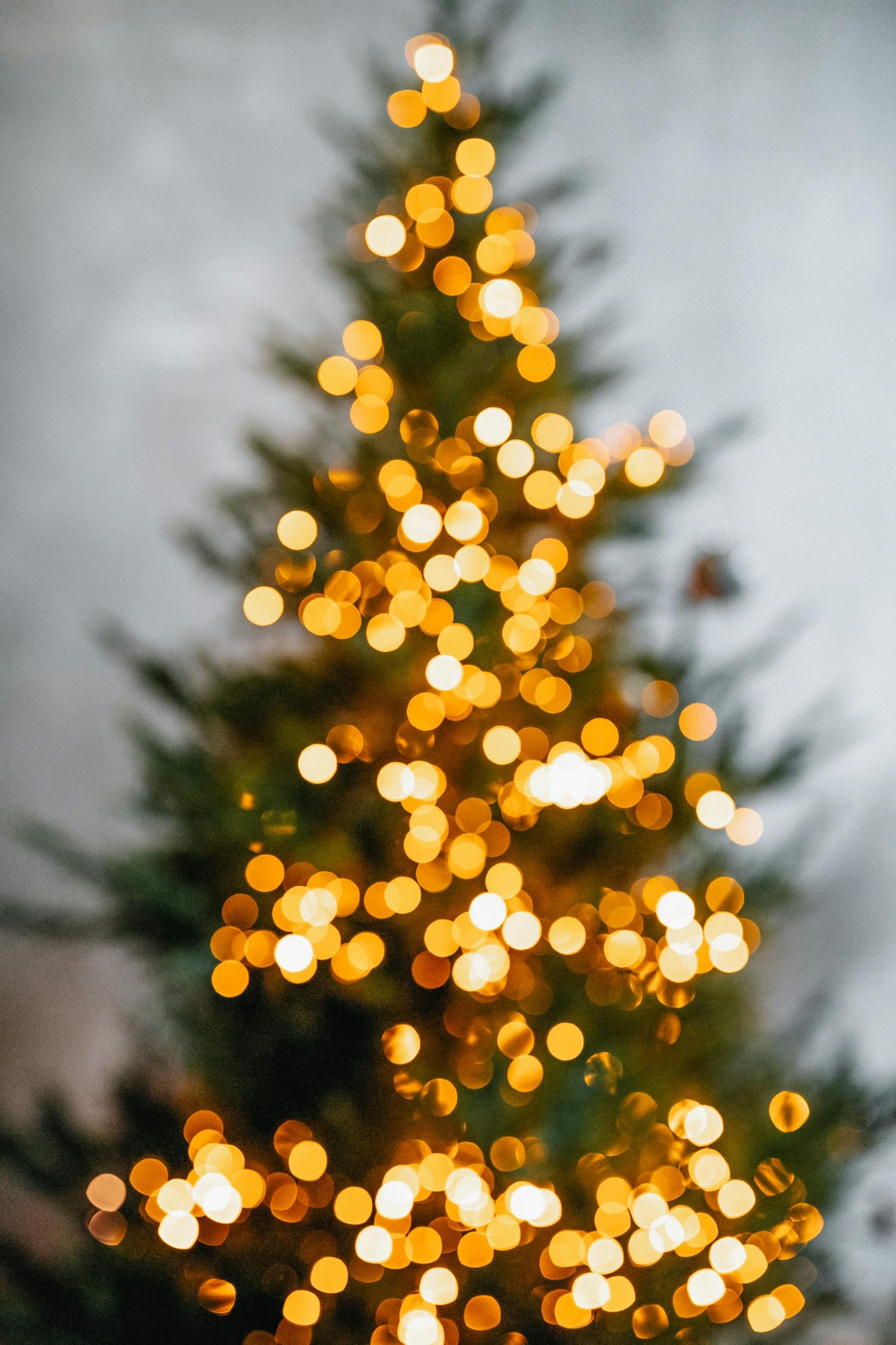 Tree Care Made Simple: Keep Your Christmas Tree Fresh