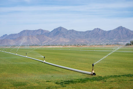 Mastering Irrigation: Essential Practices and Principles for a Thriving Garden