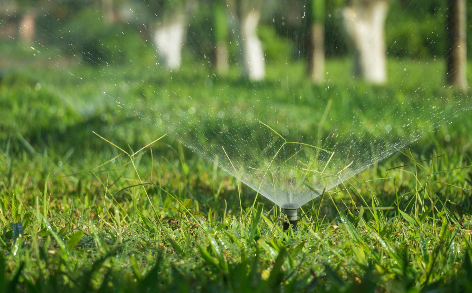 Finding Your Flow: Choosing the Perfect Irrigation System for Your Yard and Garden