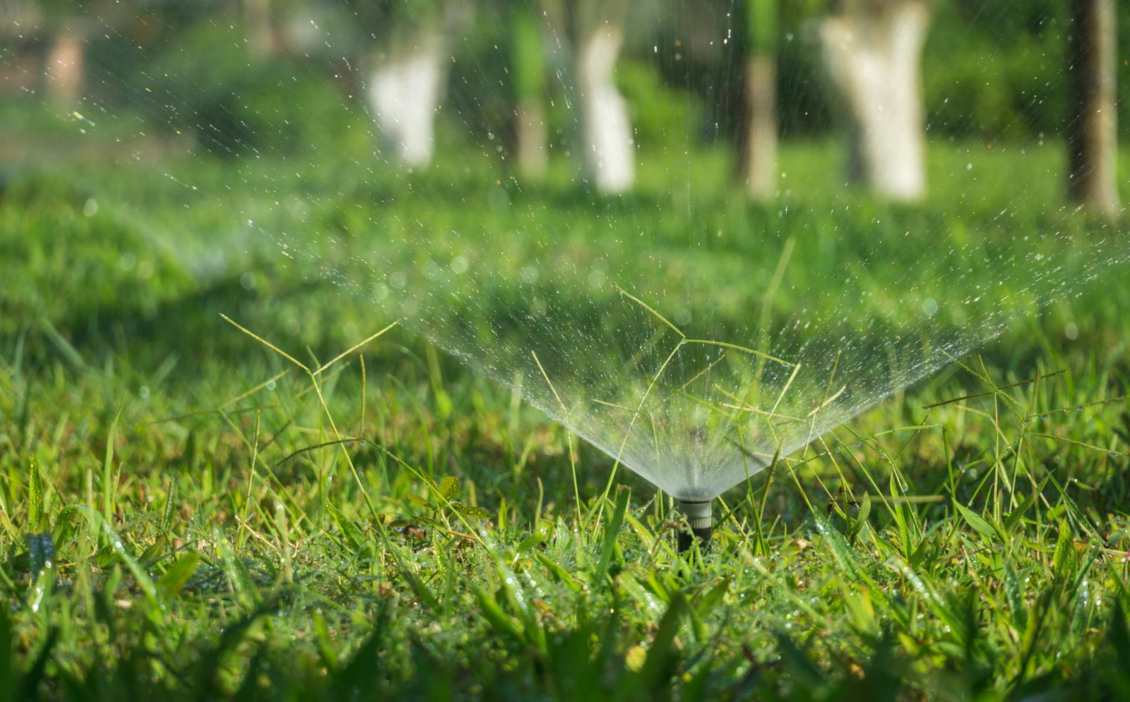 Precision Irrigation with Spray Head Sprinklers: A Smart Choice for Your Lawn and Garden