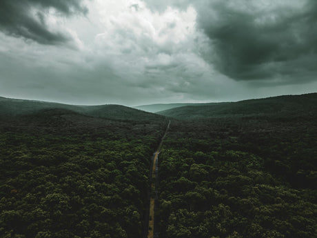 Stormy Weather Warning: Protecting Your Irrigation Setup from August Rainfall