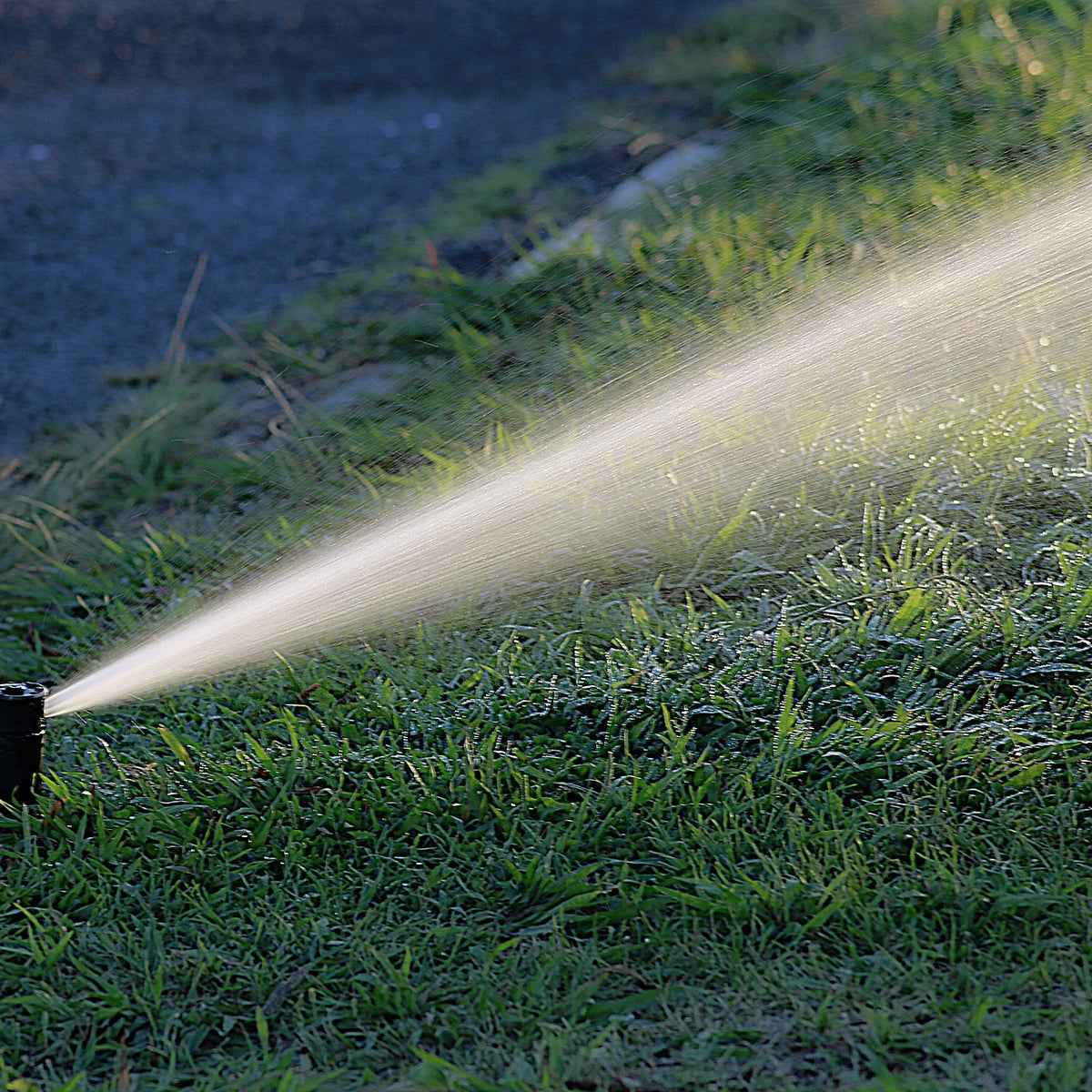 Enhancing Your Garden With Rotor Sprinklers: A Closer Look – Cheap 