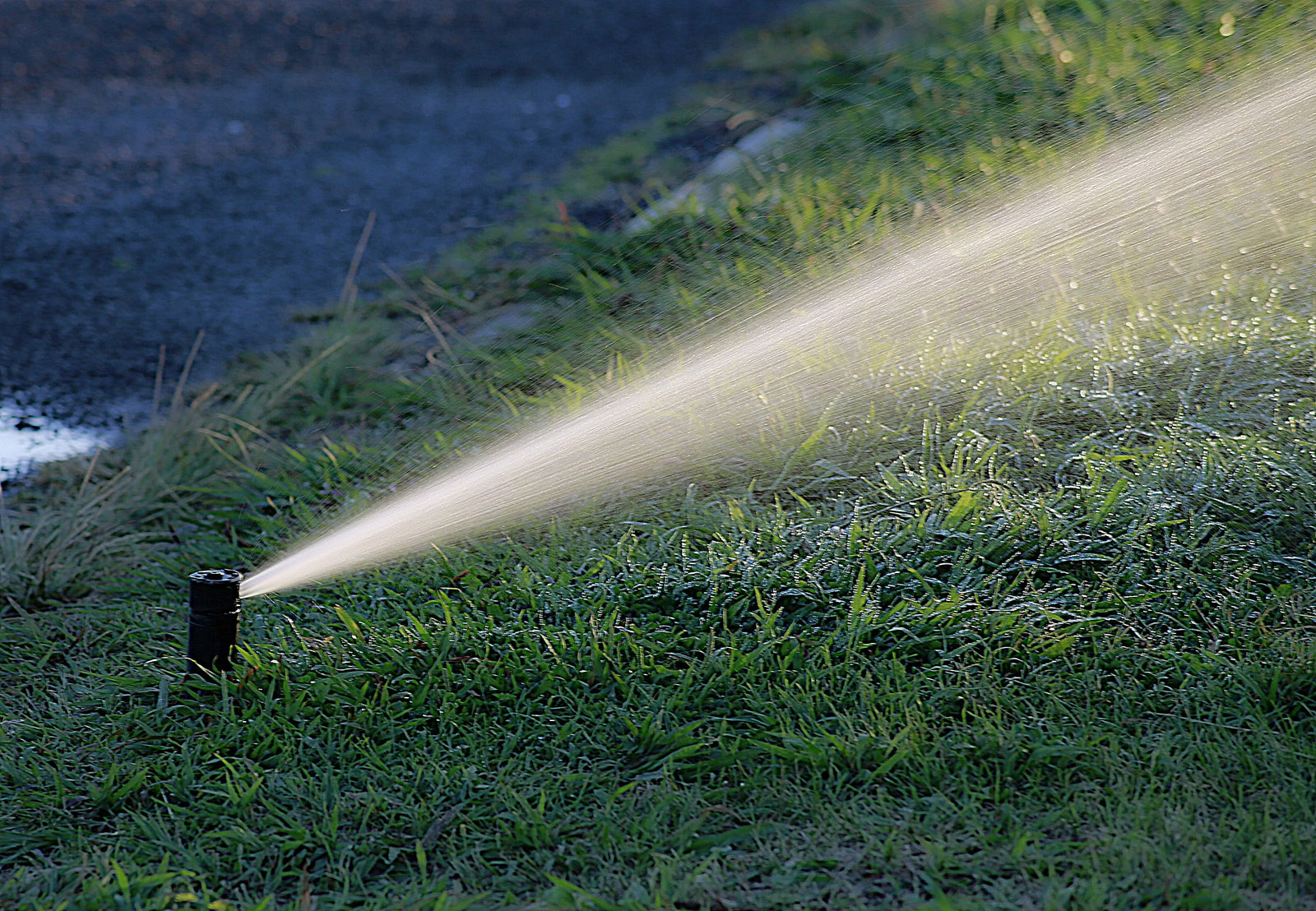 Enhancing Your Garden with Rotor Sprinklers: A Closer Look