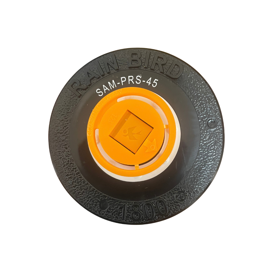 Rain Bird - 1812SAMP45 - 12'' 1800 45 PSI Pressure Regulated Spray Head w/ Check Valve