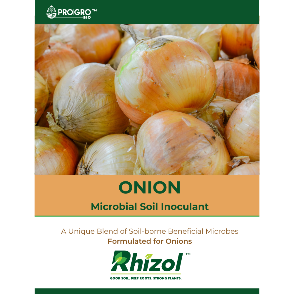 Rhizol Onion - Dissolvable Microbial Soil Inoculant