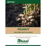 Rhizol Peanut - Dissolvable Microbial Soil Inoculant