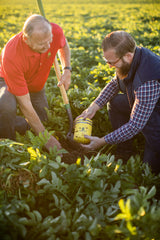 Soiltech Beacon | Soil, Canopy, & Storage Monitoring Sensor