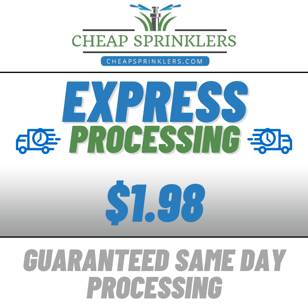 Express Processing - Jump The Line!