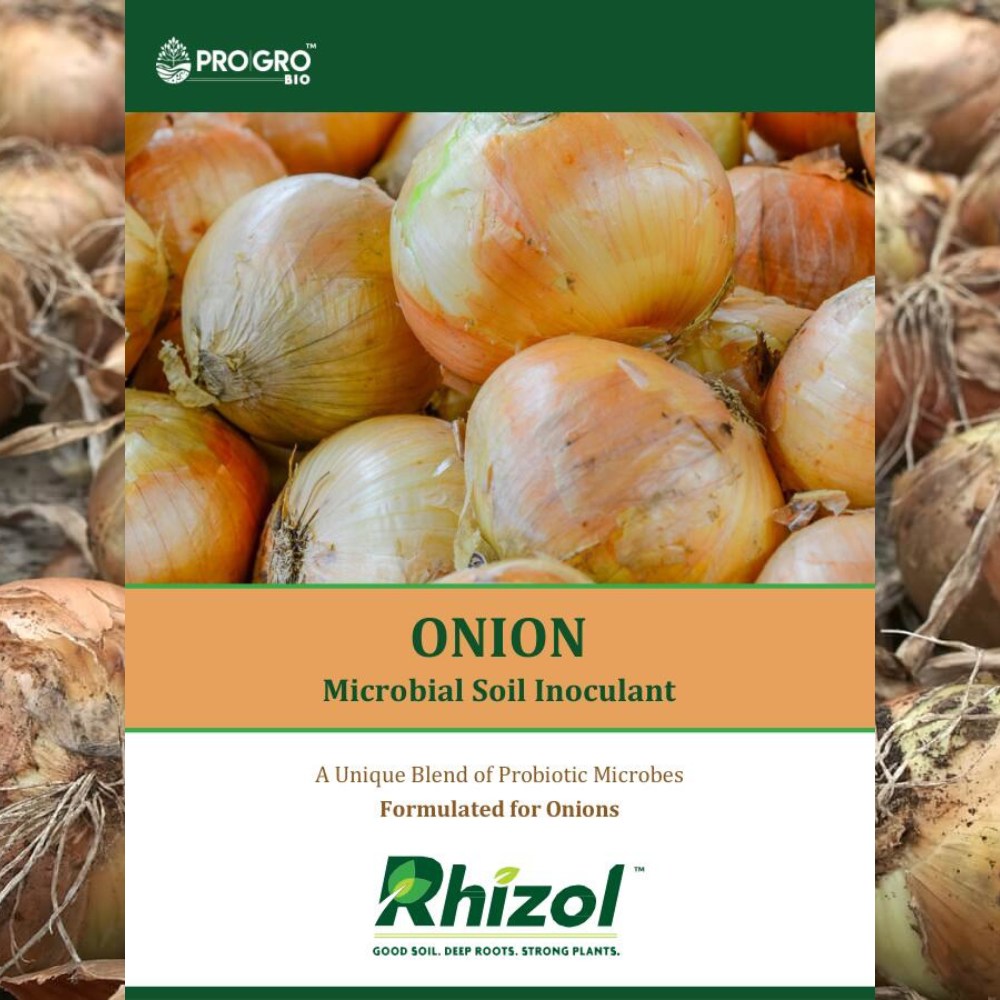 Onion - Rhizol Microbial Soil Inoculent