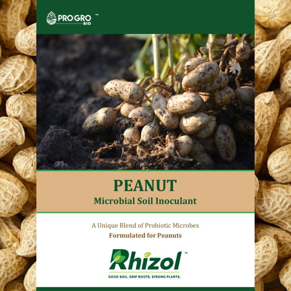 Peanut - Rhizol Microbial Soil Inoculent