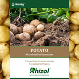 Potato - Rhizol Microbial Soil Inoculent