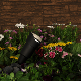 FX Luminaire - RS Up Light (Black, No Lamp) - RS-NL-FB