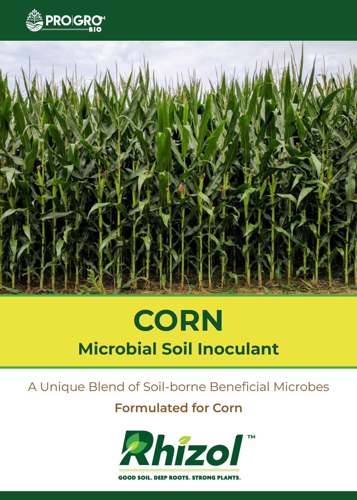 Rhizol Corn - Dissolvable Microbial Soil Inoculant