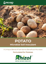 Rhizol Potato - Dissolvable Microbial Soil Inoculant