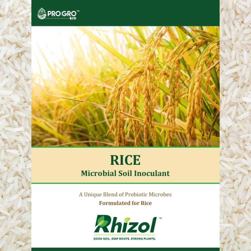 Rice - Rhizol Microbial Soil Inoculent