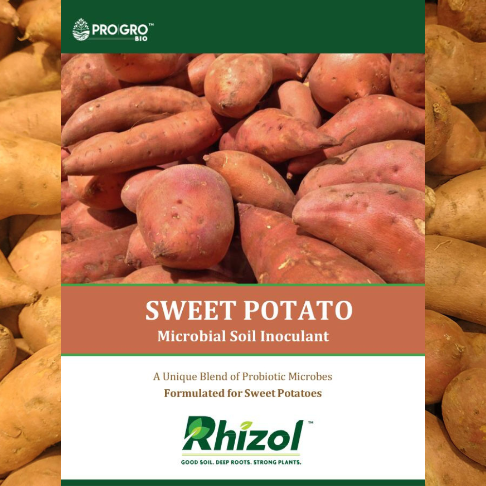 Sweet Potato - Rhizol Microbial Soil Inoculent