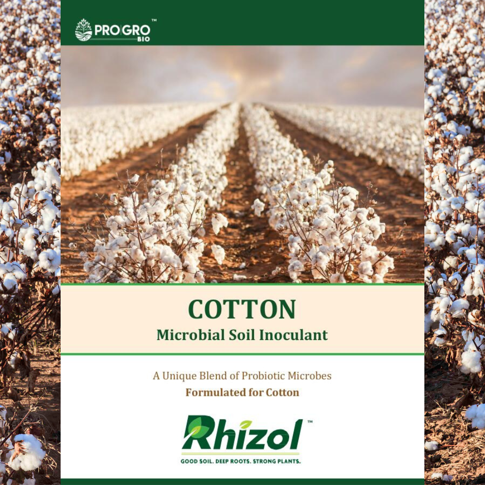 Cotton - Rhizol Microbial Soil Inoculent