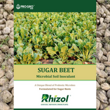 Sugar Beet - Rhizol Microbial Soil Inoculent